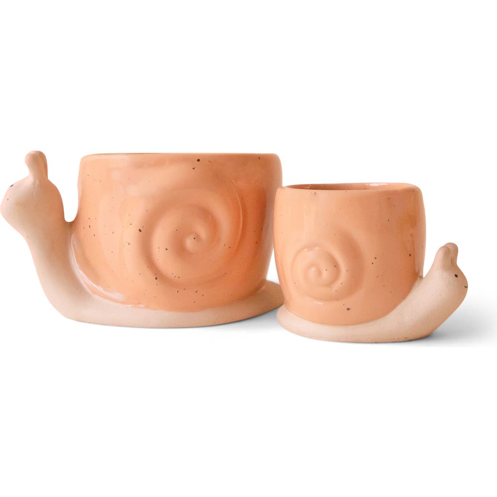 Jungle Club Snail Planter Duo In Orange
