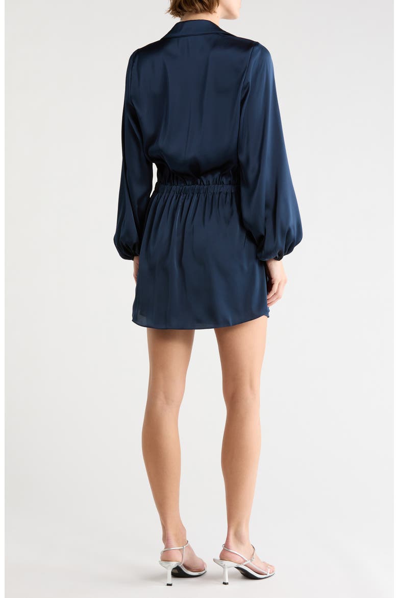 Meadow Long Sleeve Minidress, Alternate, color, NAVY