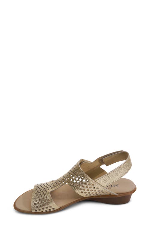 Sesto Meucci Elicia Slingback Sandal In Platino