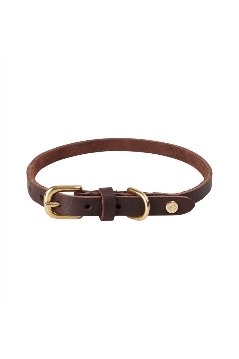 Robin Dog Collar, Alternate, color, Choko