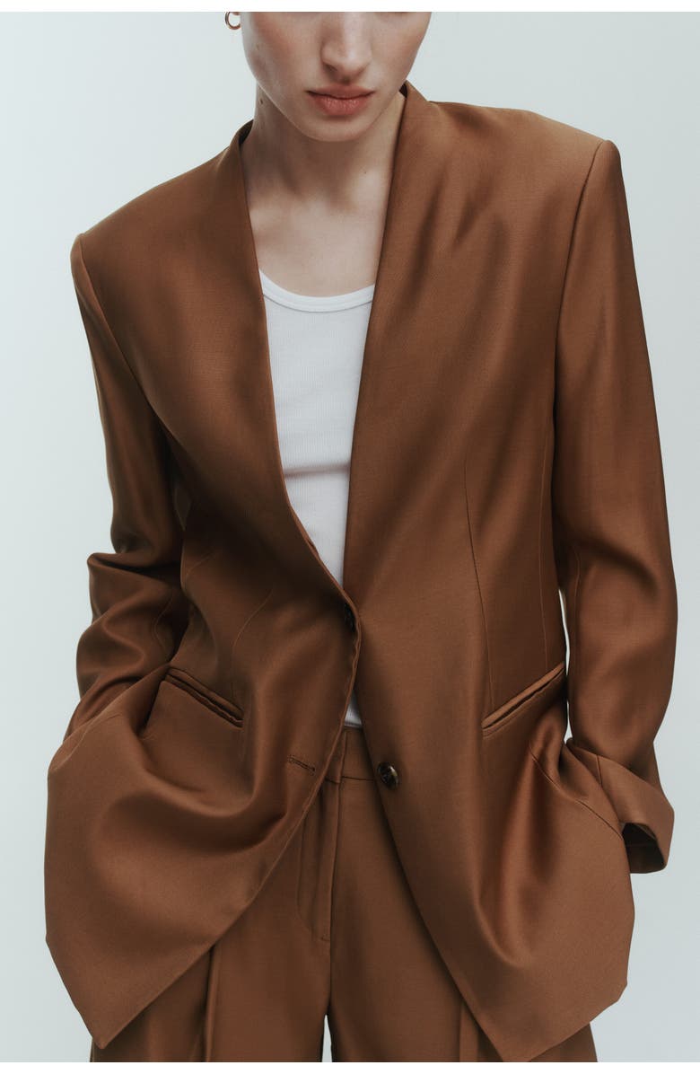 H&M Lapelless Blazer, Alternate, color, Brown