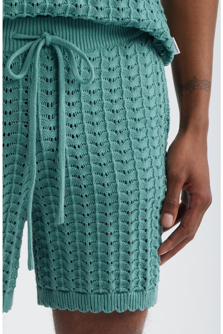 Salt Water Knit Shorts, Alternate, color, TEAL