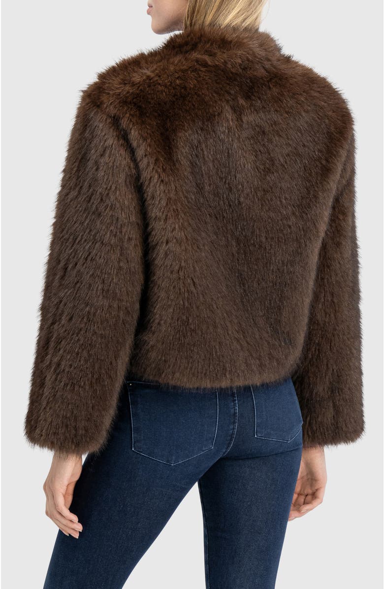 Lyla Grant Fur-Free Sable (Faux Fur) Jacket, Stand Collar, Alternate, color, Brown