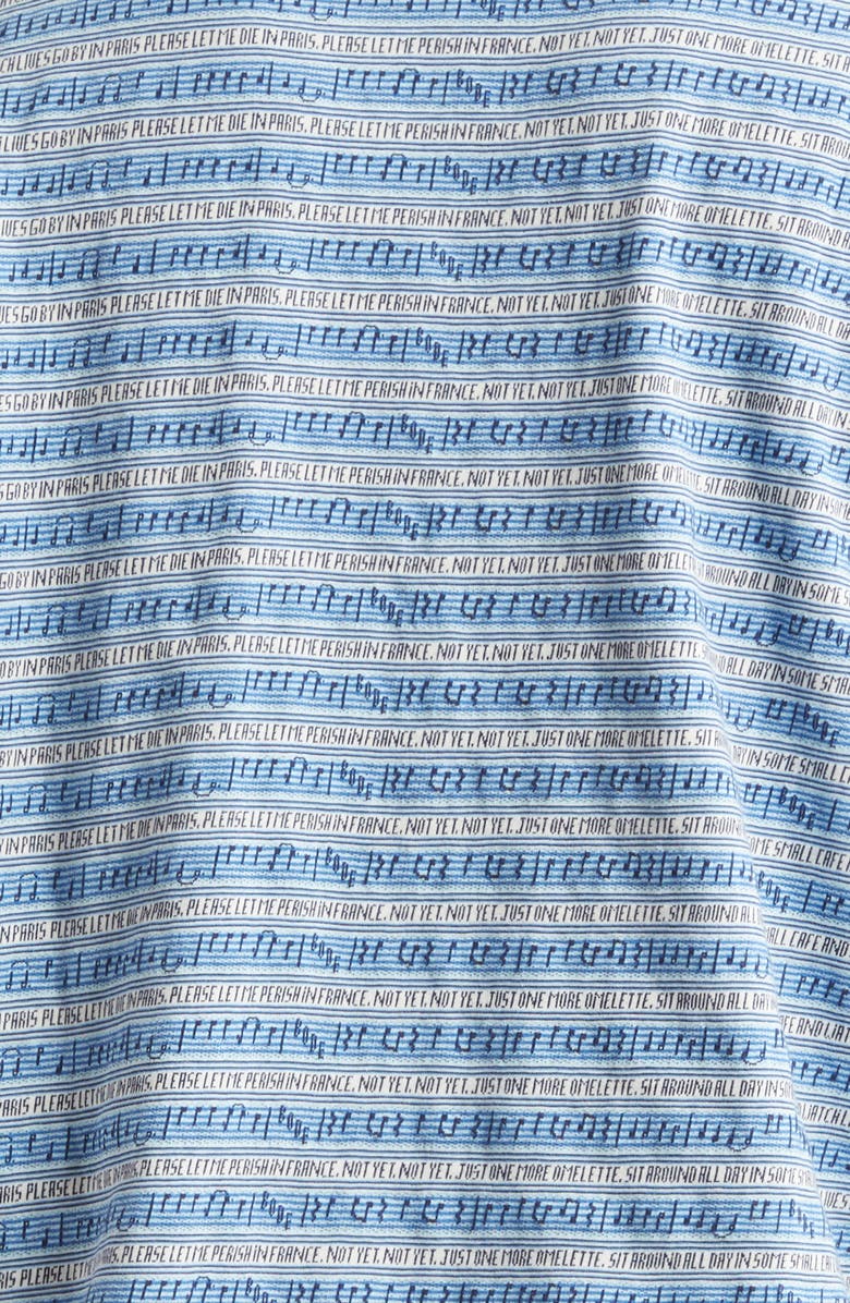 Bode Lyric Stripe Pocket T-Shirt, Alternate, color, Blue Multi