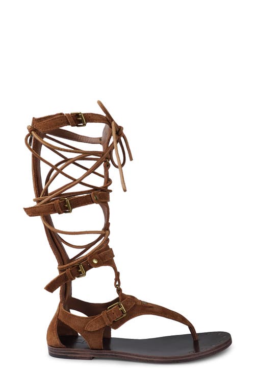Zigi Lester Gladiator Sandal In Brown