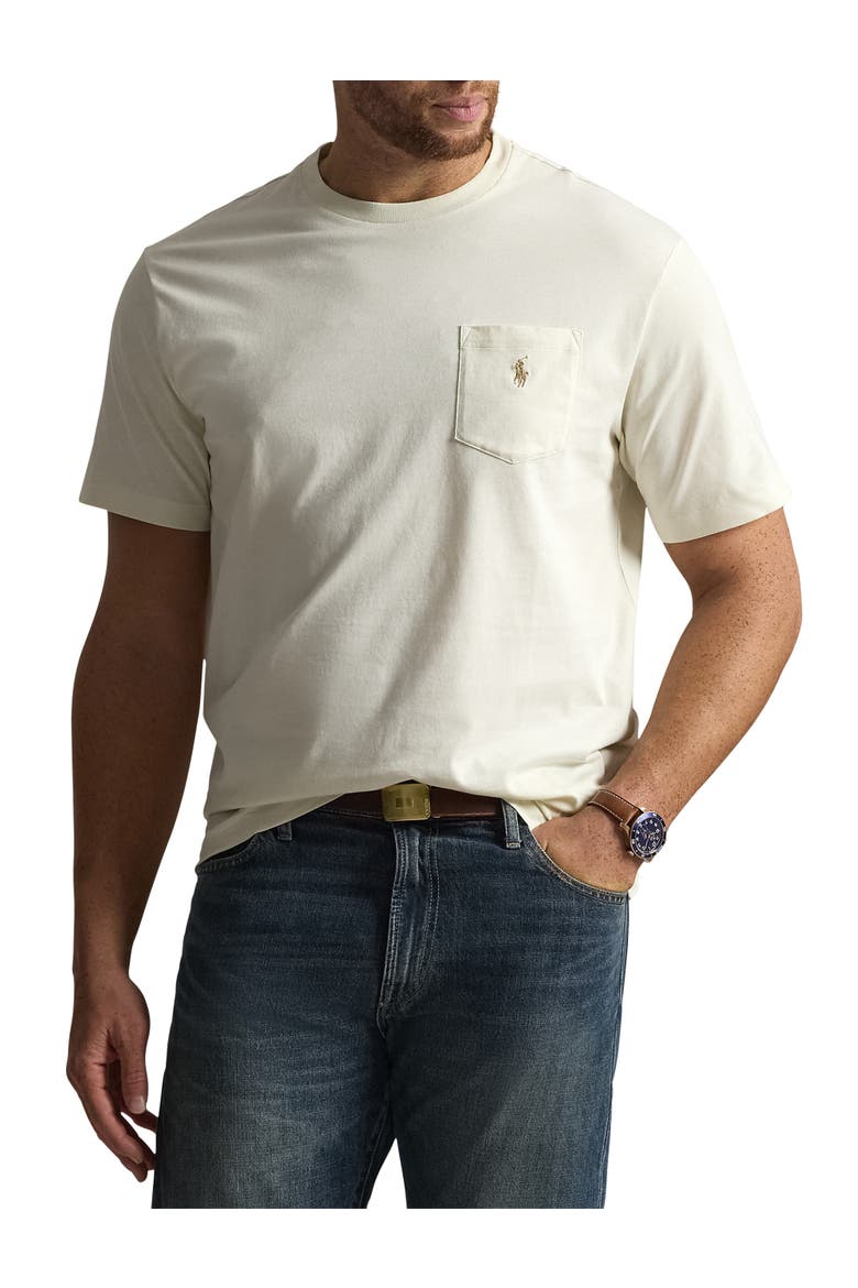 Big & Tall Classic Fit Jersey Crewneck Pocket Tee, Main, color, PARCHMENT CREAM