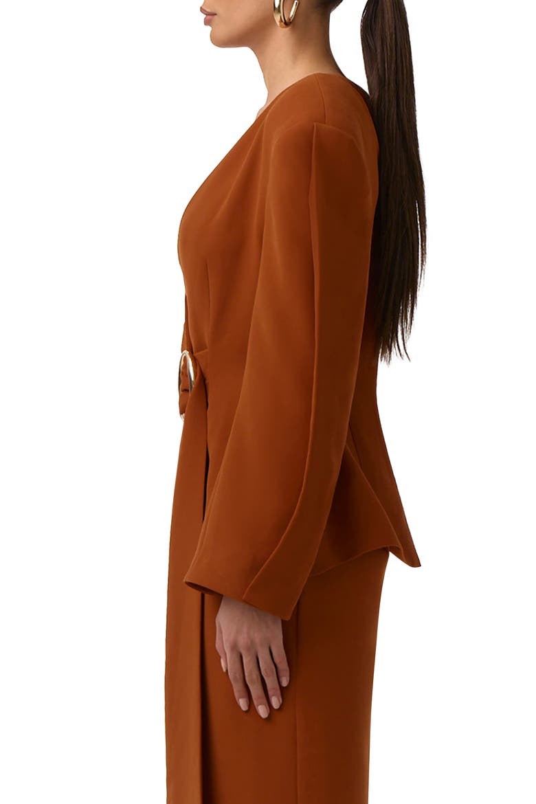 Ring Belted Blazer, Alternate, color, CARAMEL