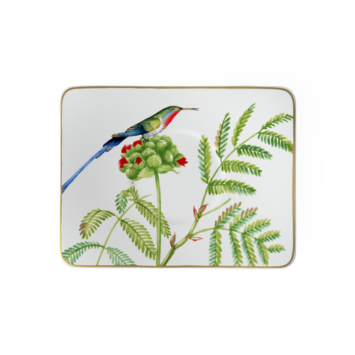 Villeroy & Boch Amazonia Teacup Saucer In White