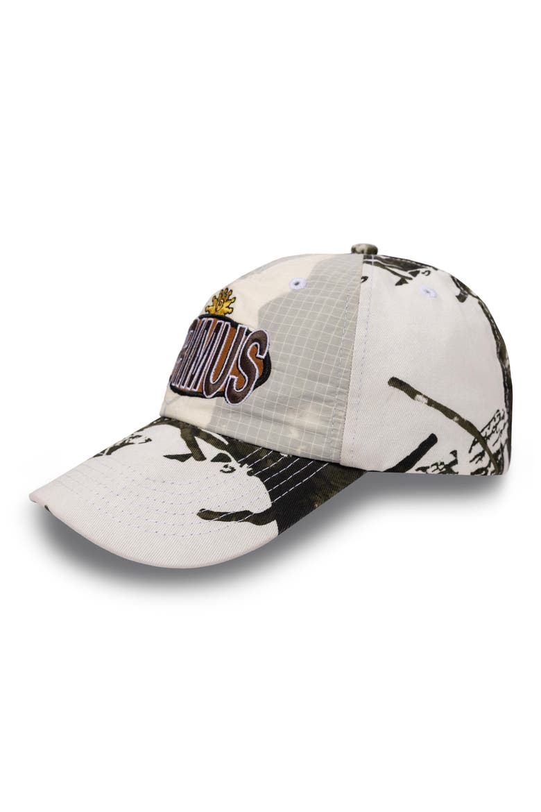 Brown Album Layered Adjustable Baseball Cap, Alternate, color, SNOW