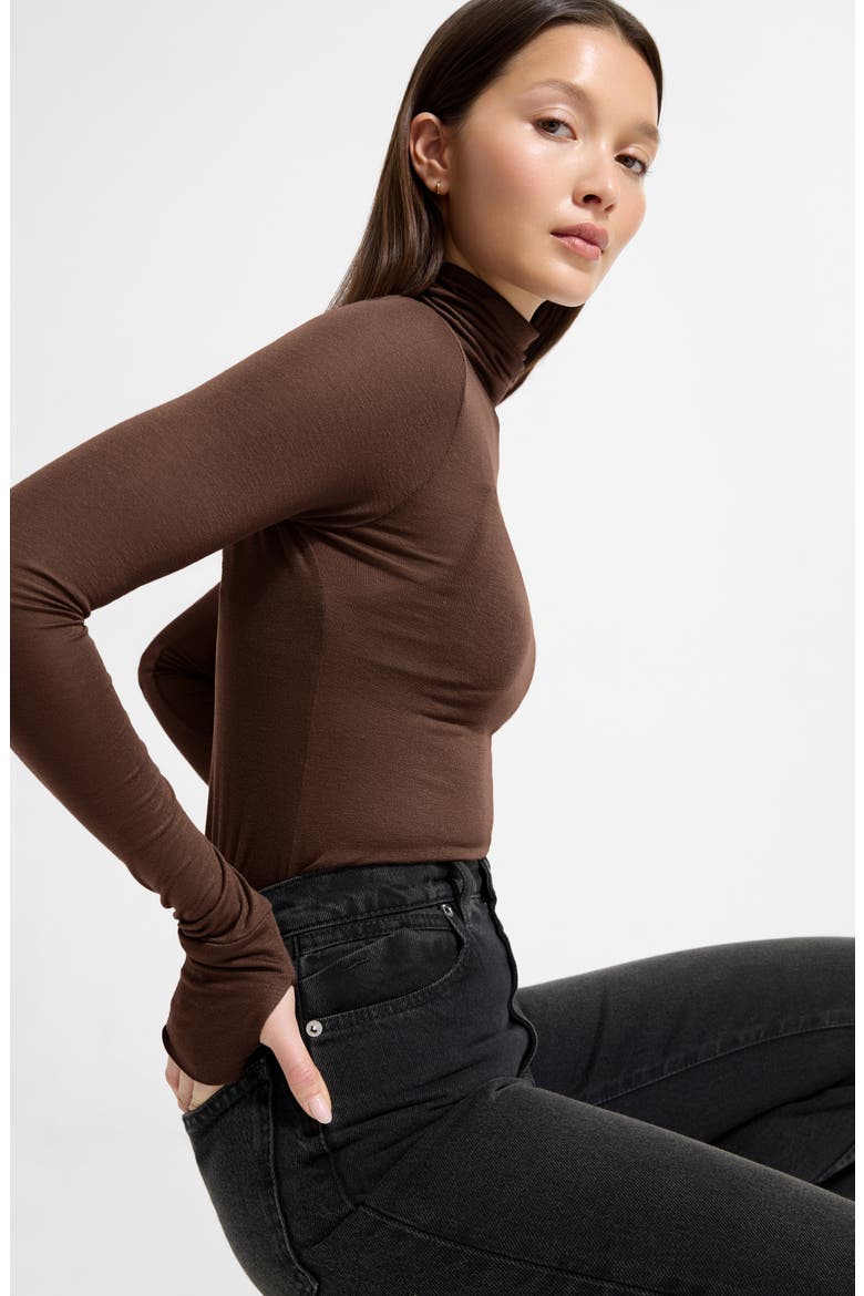 Eloise Sheer Turtleneck Top, Alternate, color, ESPRESSO