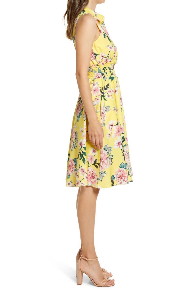 Eliza J Sleeveless Fit & Flare Shirtdress, Alternate, color, 