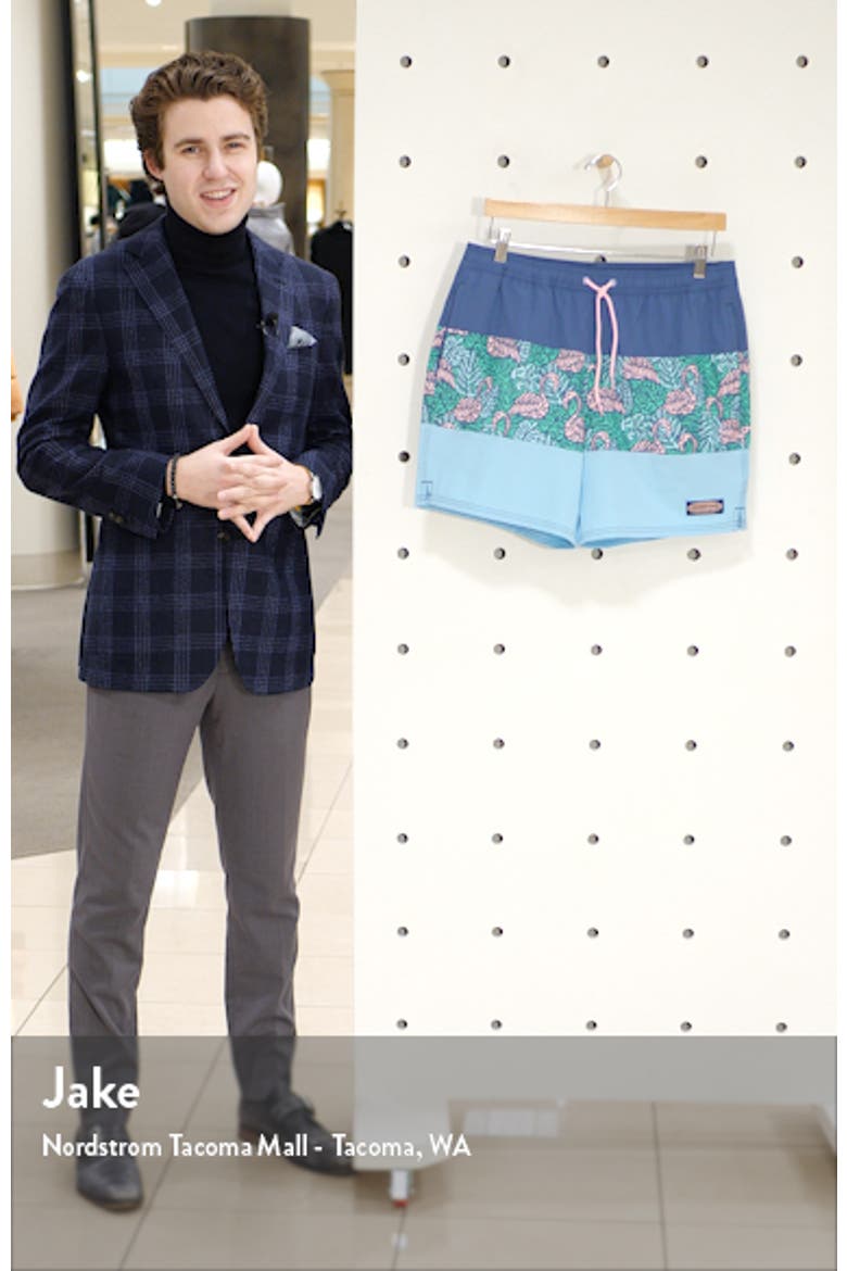 Chappy Swim Trunks video