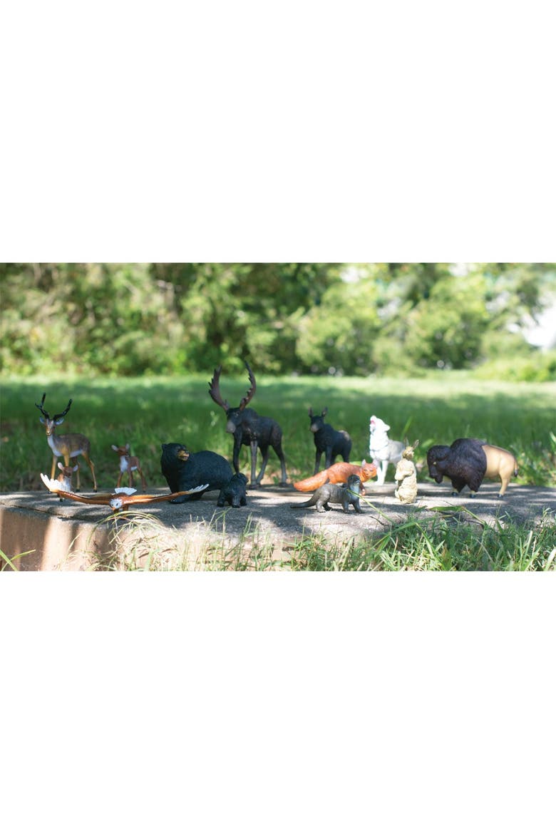 North American Wildlife - Set of 13, Alternate, color, Multicolored