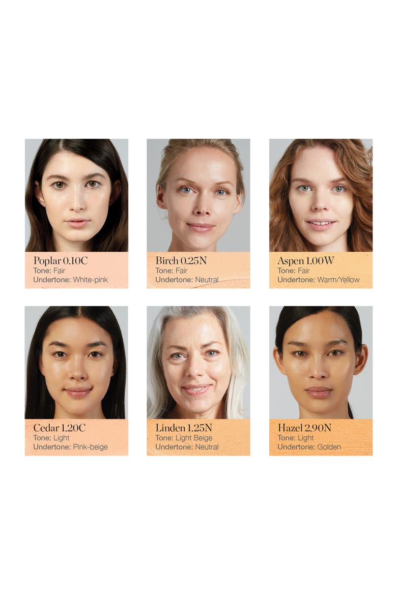 Sculpted Complexion Foundation Stick, Alternate, color, LINDEN