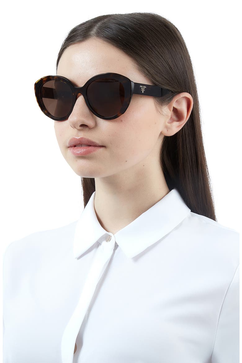 54mm Oval Cat Eye Sunglasses, Alternate, color, HAVANA/ DARK BROWN