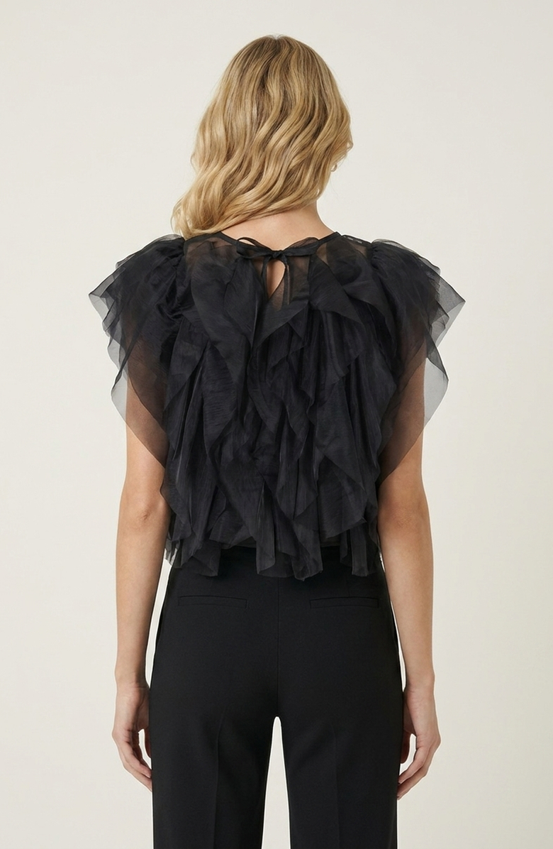 Modenaire Sheer Ruffled Tulle Blouse, Alternate, color, Black