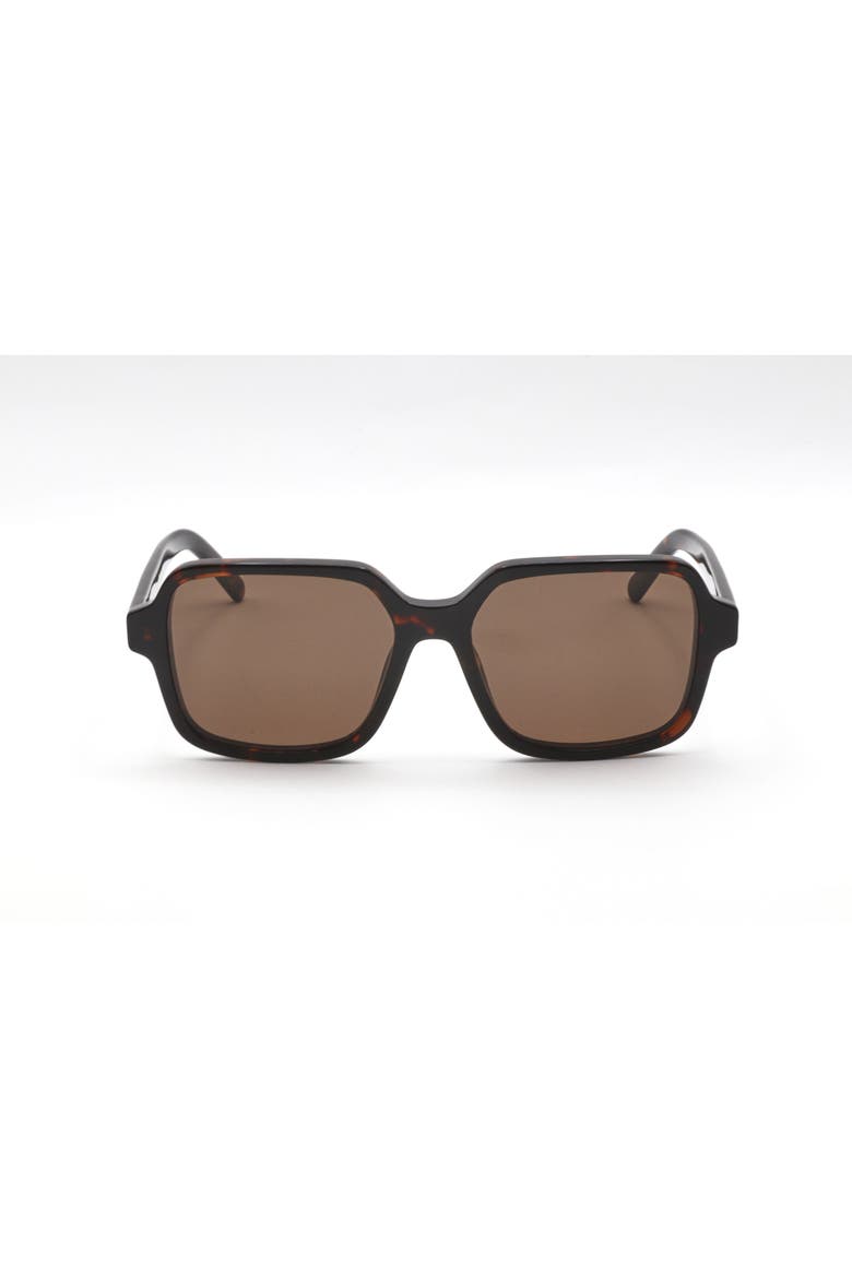 56mm Square Sunglasses, Main, color, HAVANA