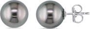 DELMAR 14K White Gold Cultured Black Tahitian Pearl Stud Earrings