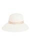 selected Ivory