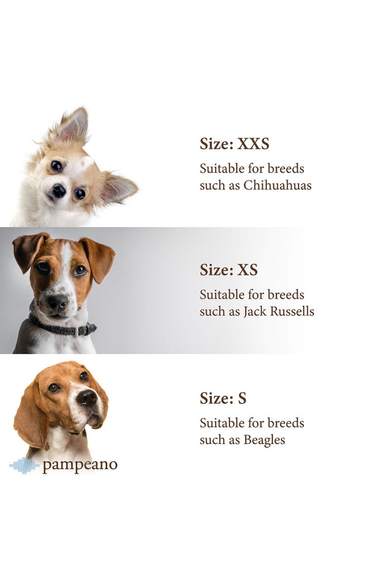 pampeano Pampa Dog Collar - Navidad, Alternate, color, 
