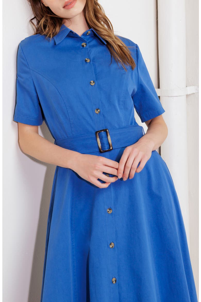 A-Line Shirtdress, Alternate, color, BLUE