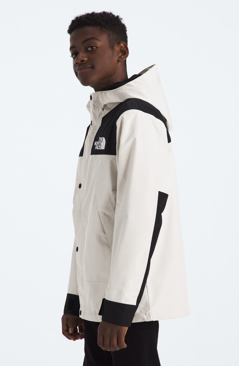 The North Face Kids' GTX Mountain Jacket, Alternate, color,