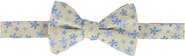 Trafalgar Weldon Floral Silk Novelty Bow Tie