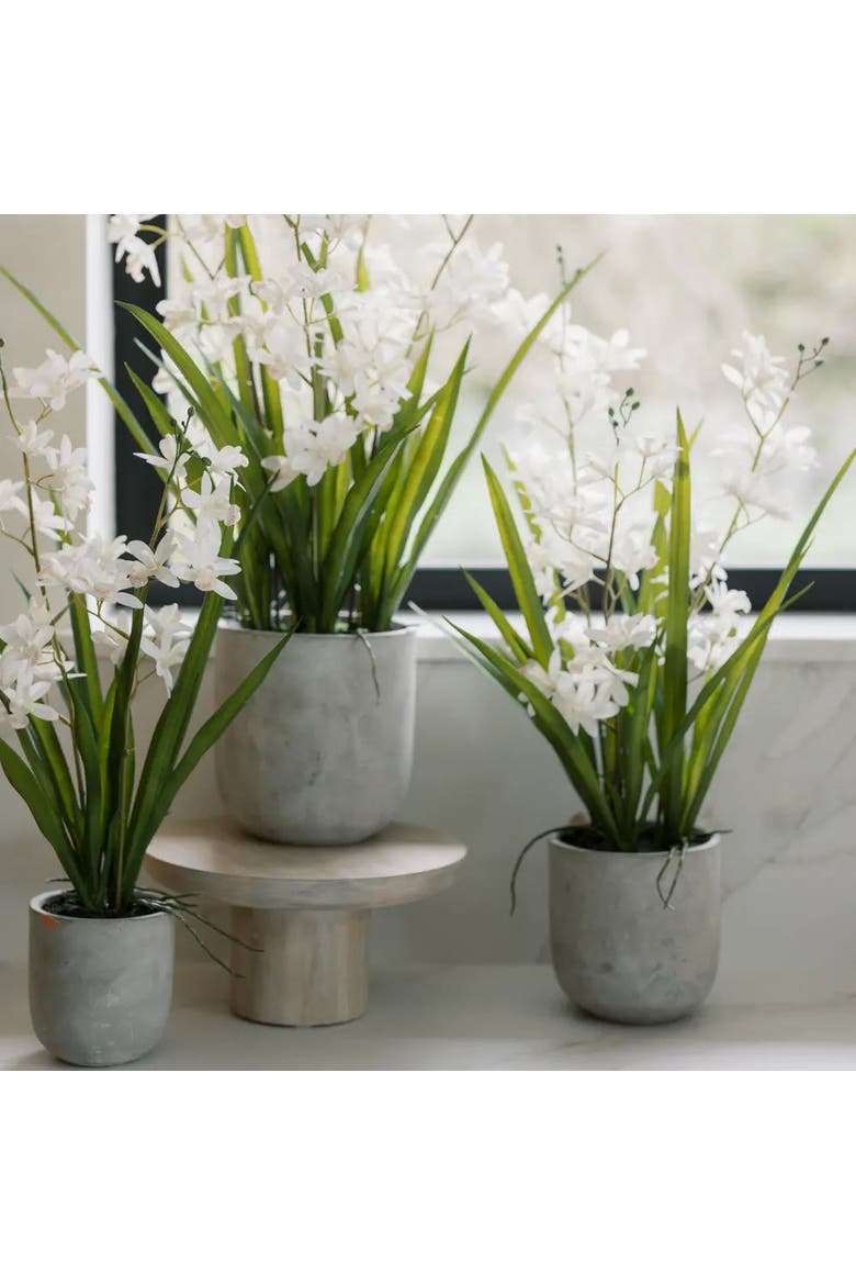 20.5" Artificial White Orchid in Stone-Grey Vanda Pot, Alternate, color, White