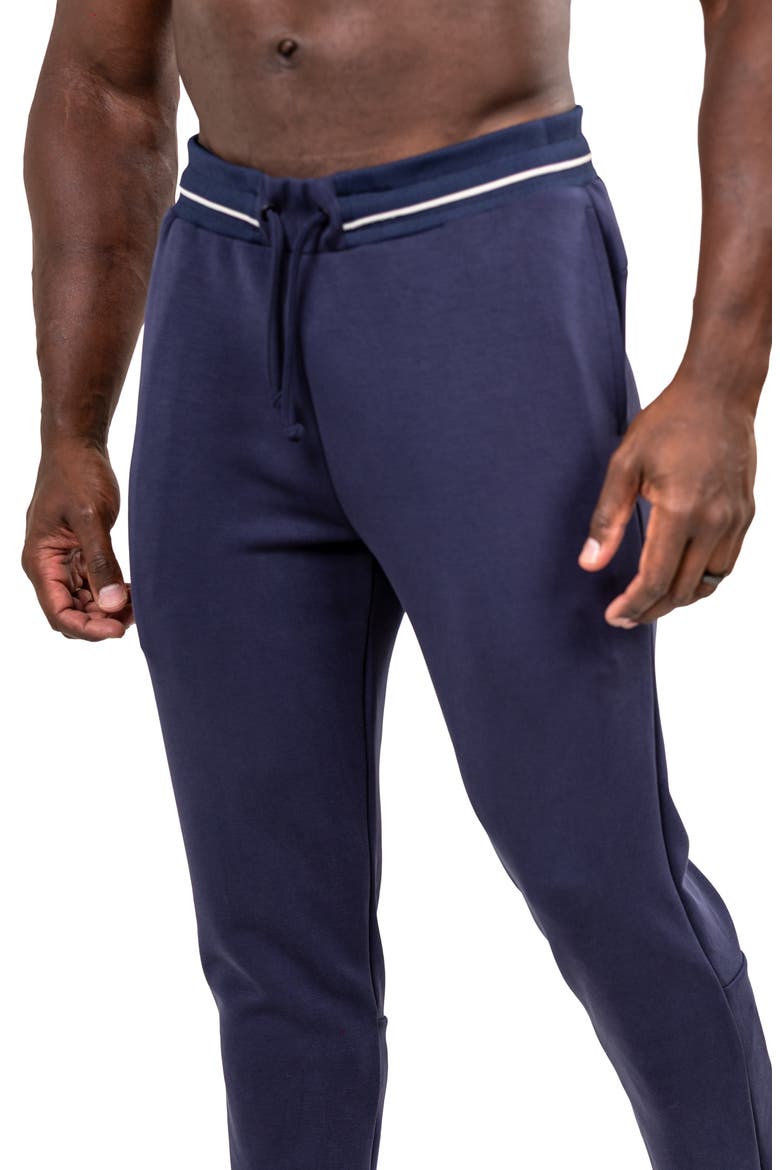 Marthyr Drawstring Joggers, Alternate, color, BLUE