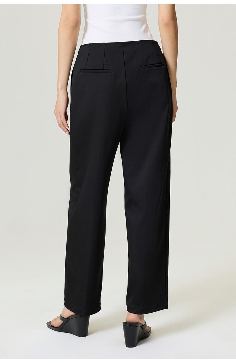 Nocturne Pleat Detailed Pants, Alternate, color, Black