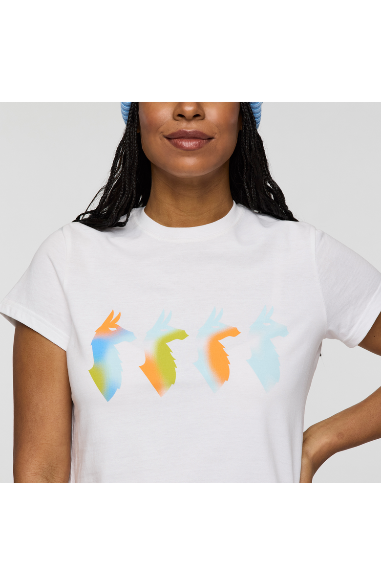 Cotopaxi Cuatro Bitmap T-Shirt - Women's, Alternate, color, Iceberg