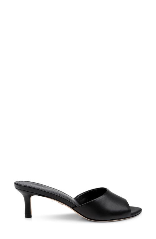 Dee Ocleppo Bogota Pointed Toe Slide Sandal In Black Leather