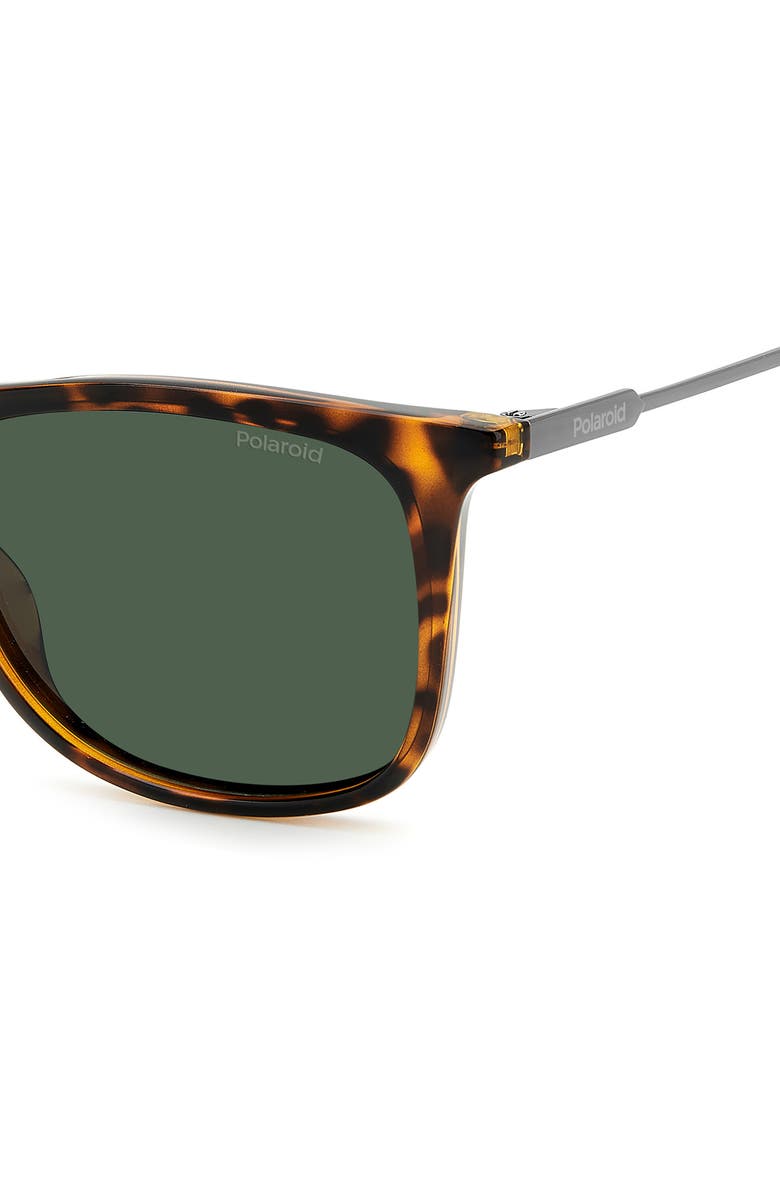 Polaroid 55mm Polarized Rectangular Sunglasses, Alternate, color, Havana/ Green Polarized