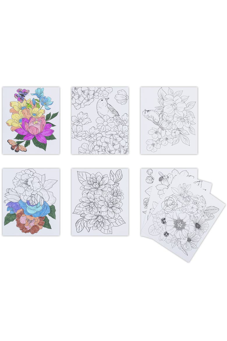 Colored Pencil Color by Number Kit Floral, Alternate, color, Multicolored