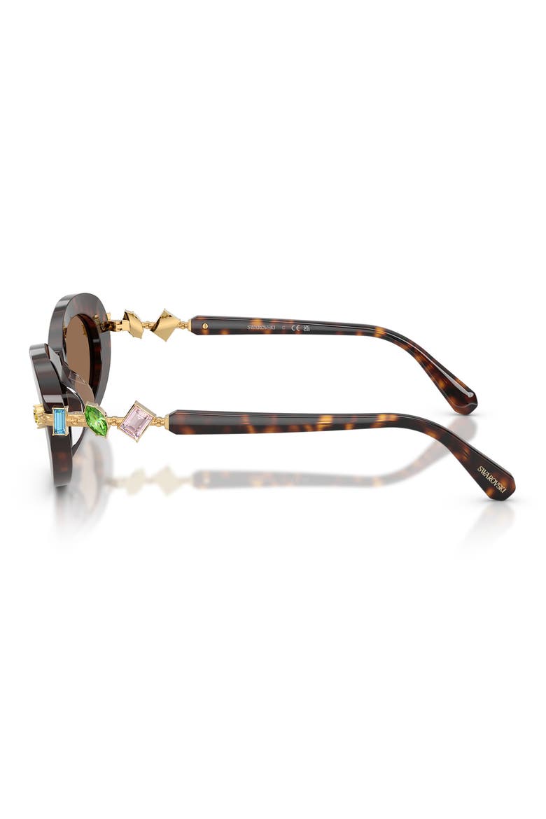 53mm Oval Sunglasses, Alternate, color, HAVANA / DARK BROWN