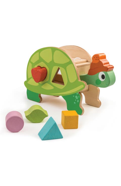 Tortoise Shape Sorter Toy