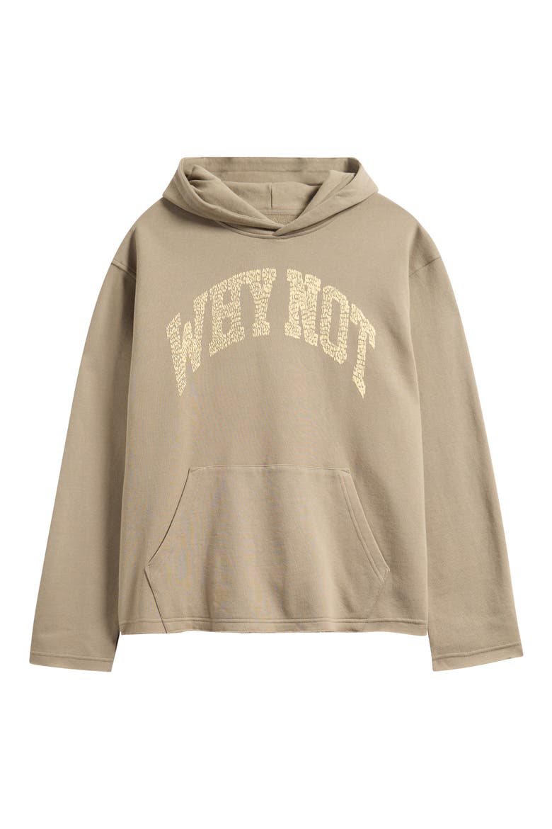Why Not Graphic Hoodie, Alternate, color, TAUPE