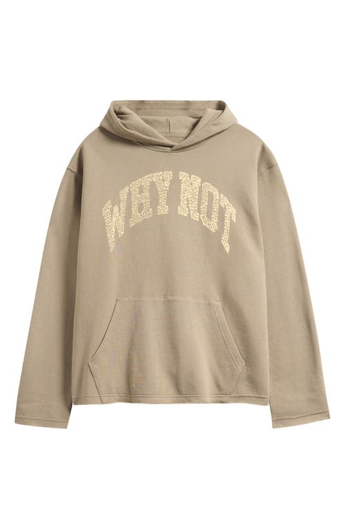 Honor The Gift Why Not Graphic Hoodie In Brown