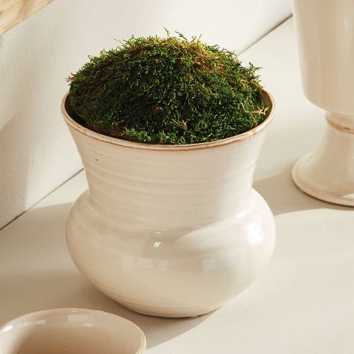 Napa Home & Garden Delaney Pot Small In White