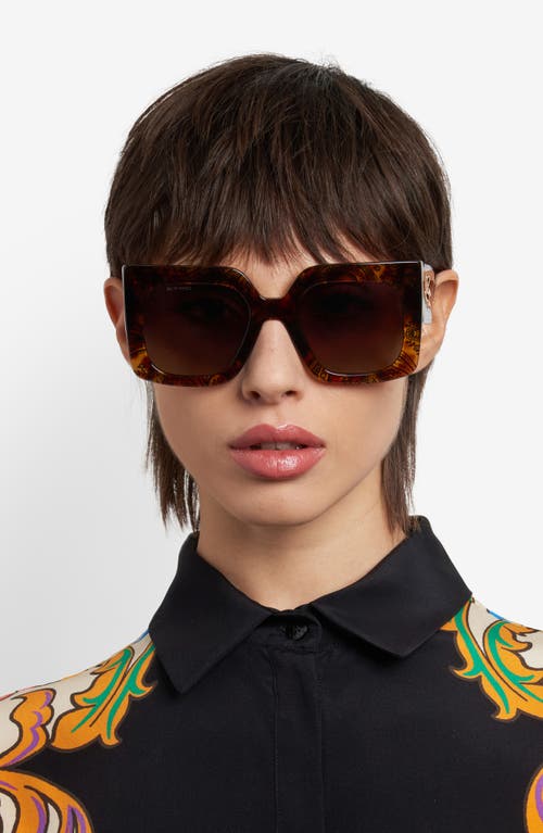 Etro 0075s Square Acetate Sunglasses