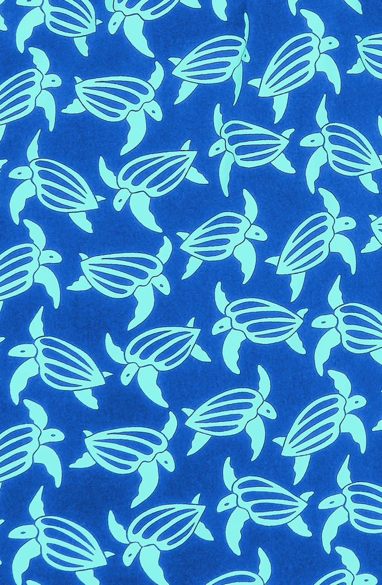 Tom & Teddy Turtle Print Swim Trunks, Alternate, color, Blue And Ice Green