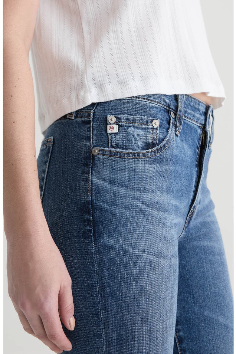 Mari Ankle Slim Straight Leg Jeans, Alternate, color, 15 YEARS PRAGUE