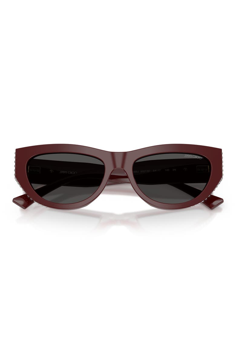 54mm Cat Eye Sunglasses, Alternate, color, CRANBERRY/ DARK GREY