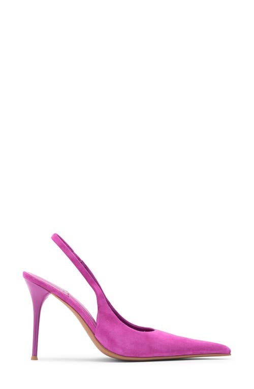 Jeffrey Campbell You Wish Slingback Pointed Toe Pump In Magenta Suede