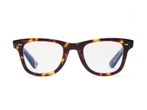 Caddis Porgy Backstage | Reading Glasses