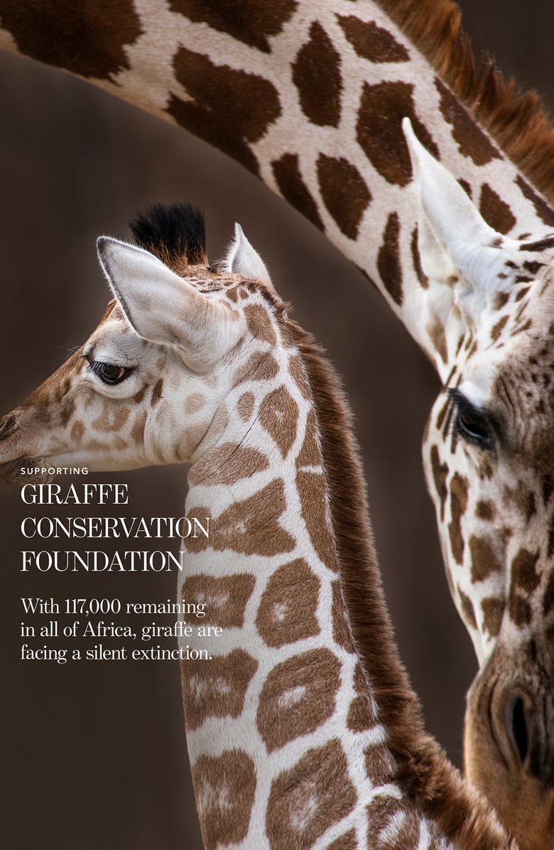 Chantecaille Luminescent Eye Shades, Alternate, color, Giraffe