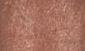 ROSE GILT - SHIMMER