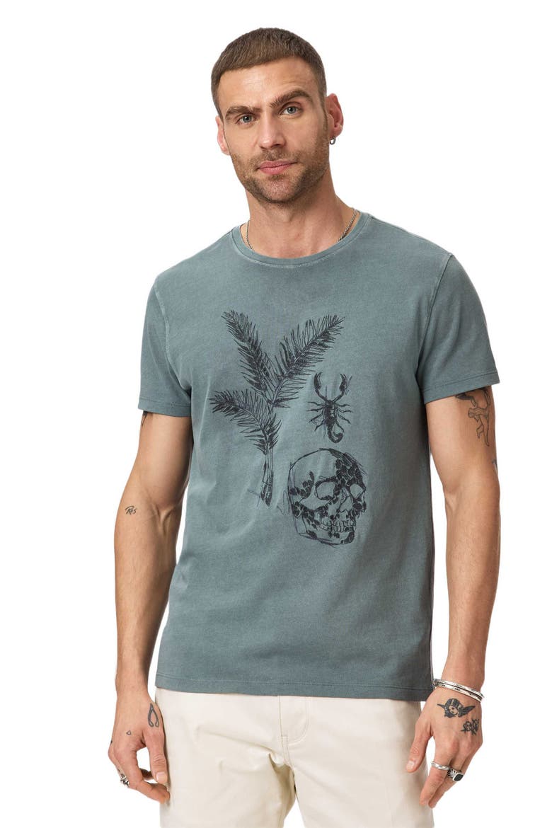 Skull & Scorpion Embroidered Organic Cotton T-Shirt, Alternate, color, FOG