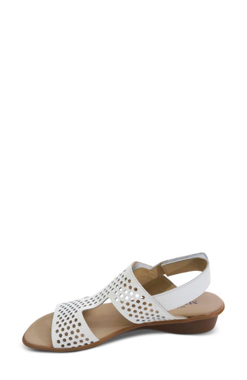 Sesto Meucci Elicia Slingback Sandal In White