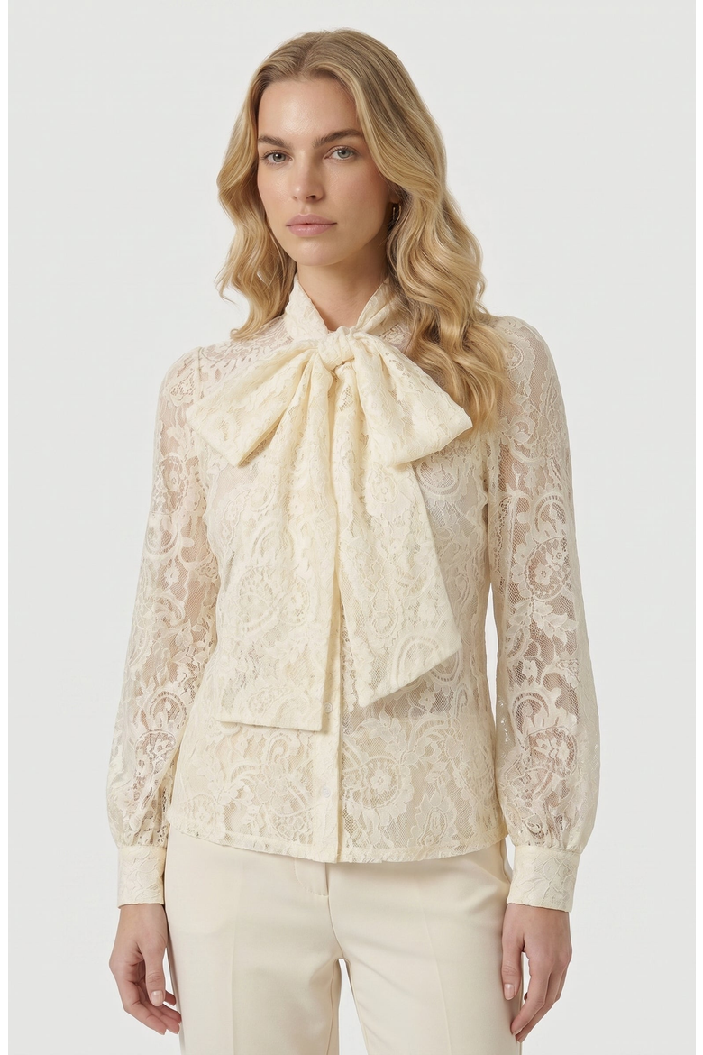 Tie Neck Sheer Long Sleeve Lace Blouse, Main, color, Beige